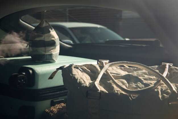 The Impact of Motorsport Success on Porsche's Brand Legacy